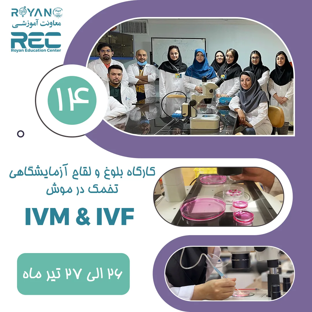 کارگاه IVM & IVF بلوغ و لقاح آزمایشگاهی تخمک در موش 14